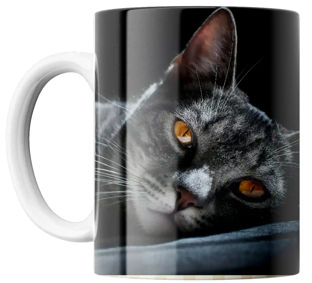 ¡Diseña tu Taza Perfecta!
